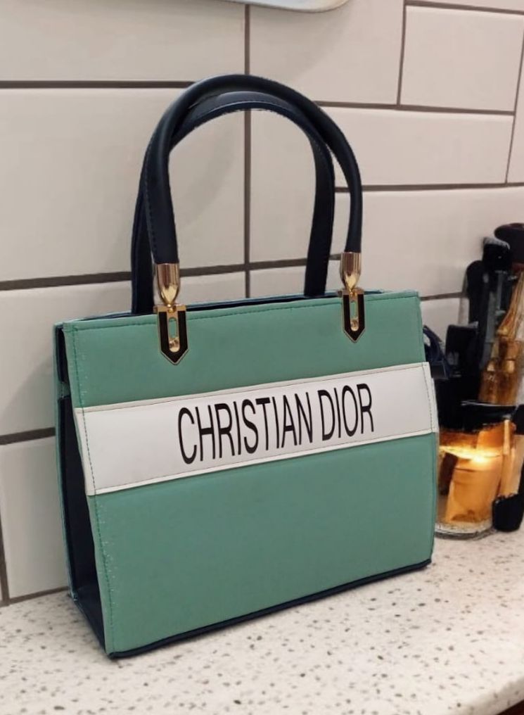 DIOR FILE BAG