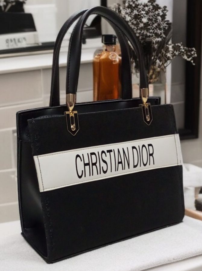 DIOR FILE BAG