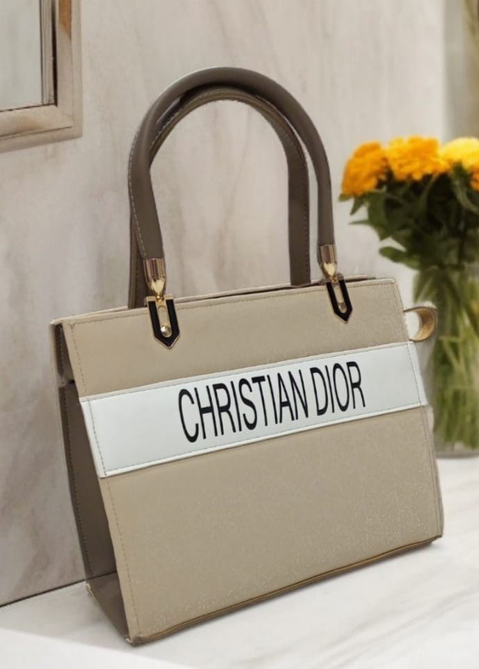 DIOR FILE BAG